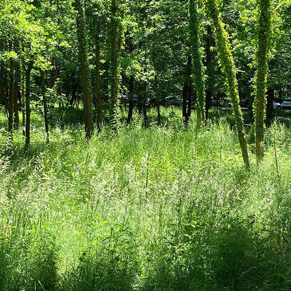 Photo by Agnès
